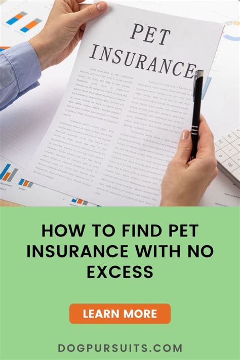 dog insurance no excess